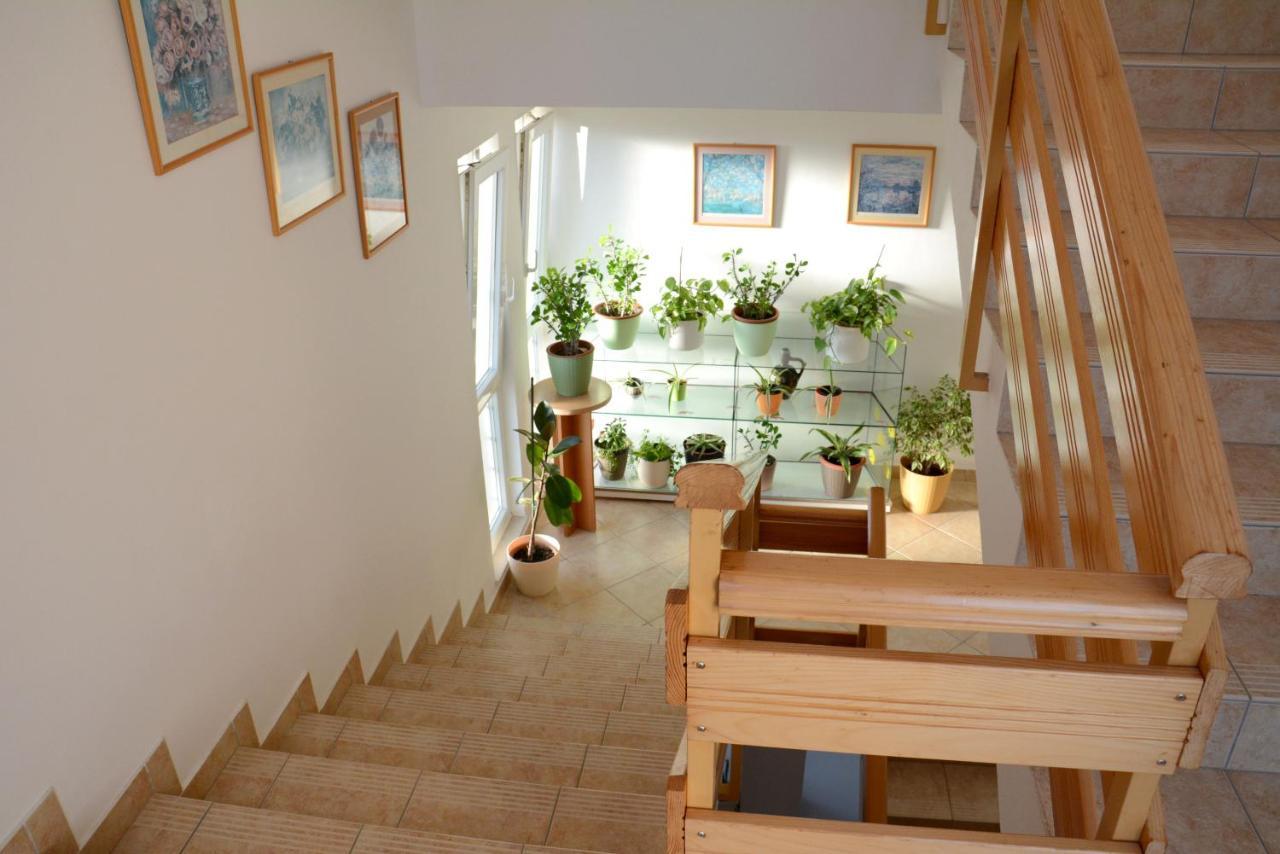 Apartments Valentin Privlaka  Dış mekan fotoğraf